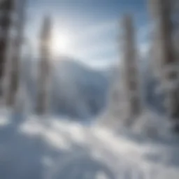 Scenic view of backcountry skiing terrain with fresh powder snow