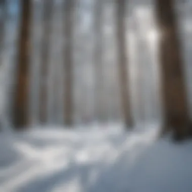 Safety Education in Backcountry Skiing A guide educating skiers about safety in the backcountry