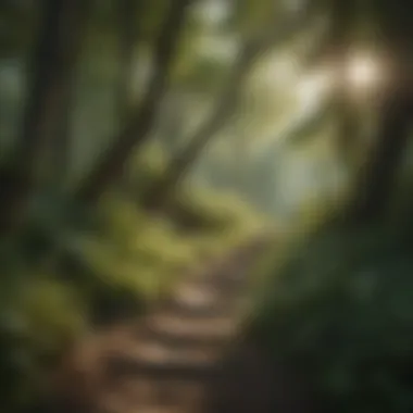 A Serene Escape into Nature Serene view of a Wildwood hiking trail surrounded by lush greenery